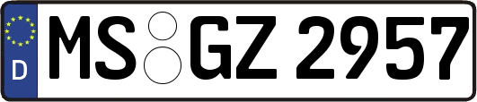 MS-GZ2957