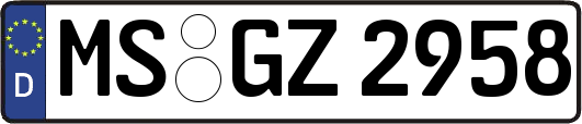 MS-GZ2958