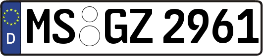 MS-GZ2961