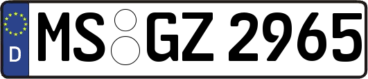 MS-GZ2965
