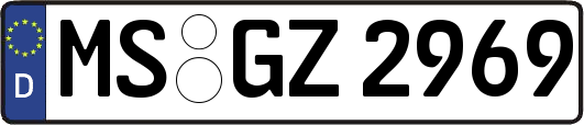 MS-GZ2969