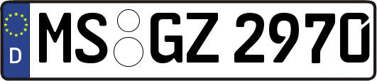 MS-GZ2970