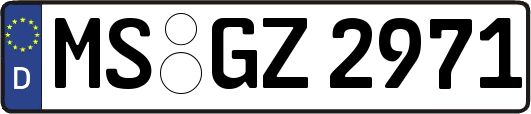 MS-GZ2971