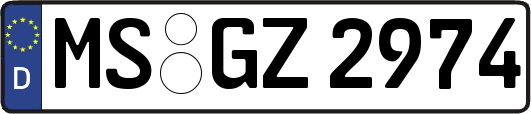 MS-GZ2974
