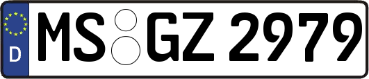 MS-GZ2979