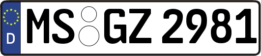 MS-GZ2981