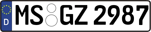 MS-GZ2987