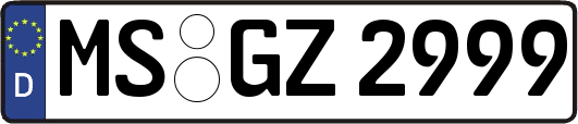 MS-GZ2999