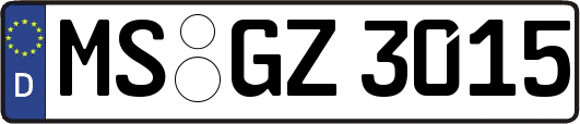 MS-GZ3015