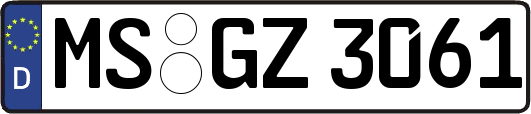 MS-GZ3061