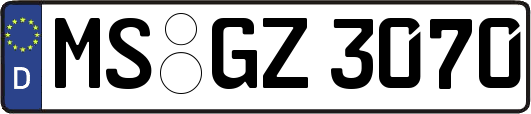 MS-GZ3070