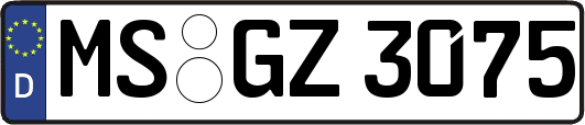 MS-GZ3075