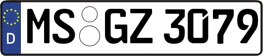 MS-GZ3079