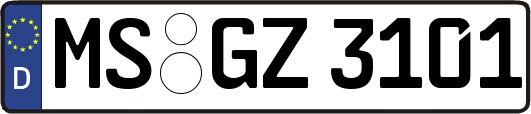 MS-GZ3101
