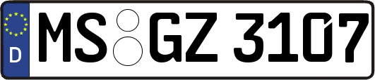 MS-GZ3107