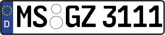 MS-GZ3111