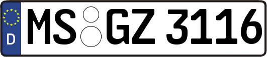 MS-GZ3116