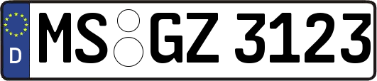 MS-GZ3123
