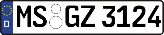 MS-GZ3124