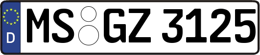 MS-GZ3125