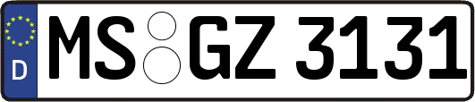 MS-GZ3131