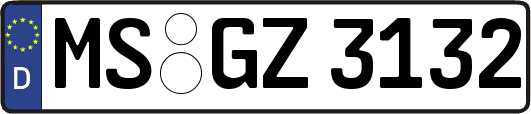 MS-GZ3132