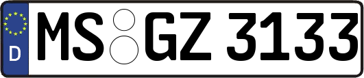 MS-GZ3133