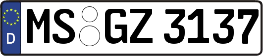 MS-GZ3137