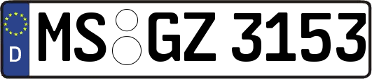 MS-GZ3153