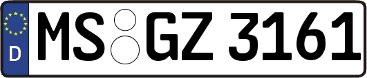 MS-GZ3161