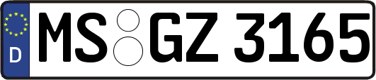 MS-GZ3165