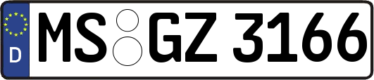 MS-GZ3166