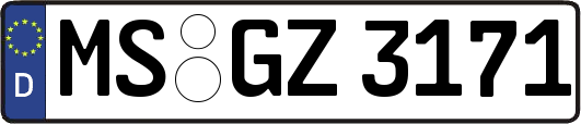 MS-GZ3171