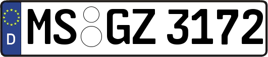 MS-GZ3172