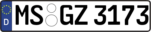 MS-GZ3173