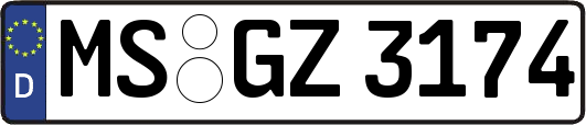 MS-GZ3174