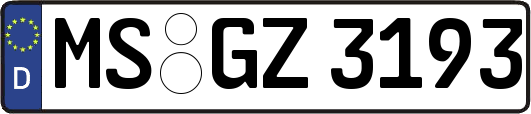 MS-GZ3193