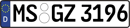 MS-GZ3196