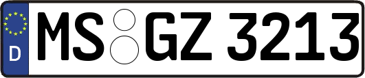 MS-GZ3213