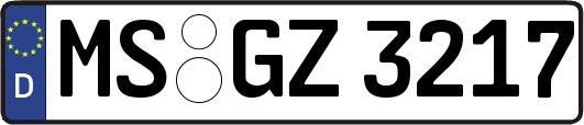 MS-GZ3217