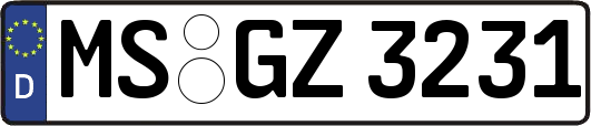 MS-GZ3231