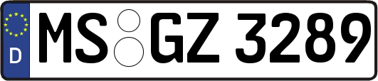 MS-GZ3289