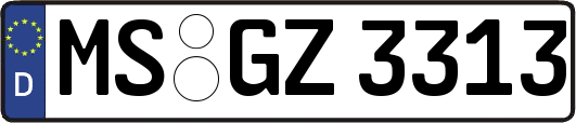 MS-GZ3313