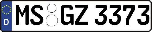 MS-GZ3373