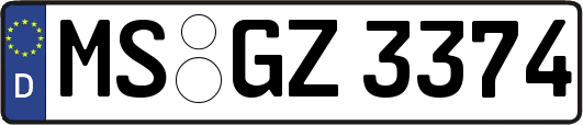 MS-GZ3374