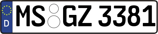 MS-GZ3381