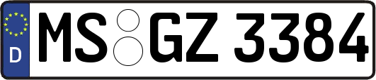 MS-GZ3384