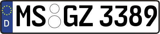 MS-GZ3389