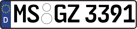 MS-GZ3391