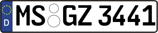 MS-GZ3441